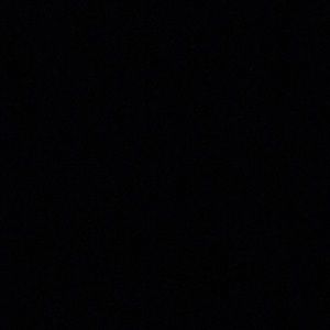 Meet your Posher, Lizzy